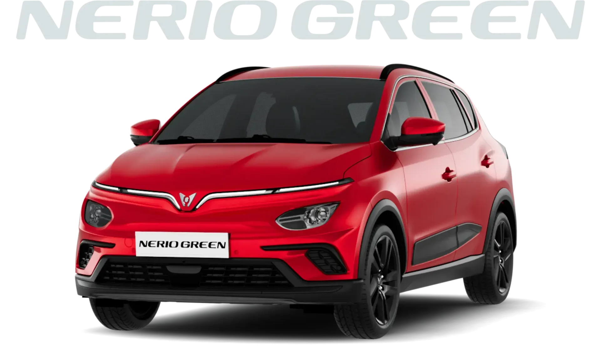 Nerio Green